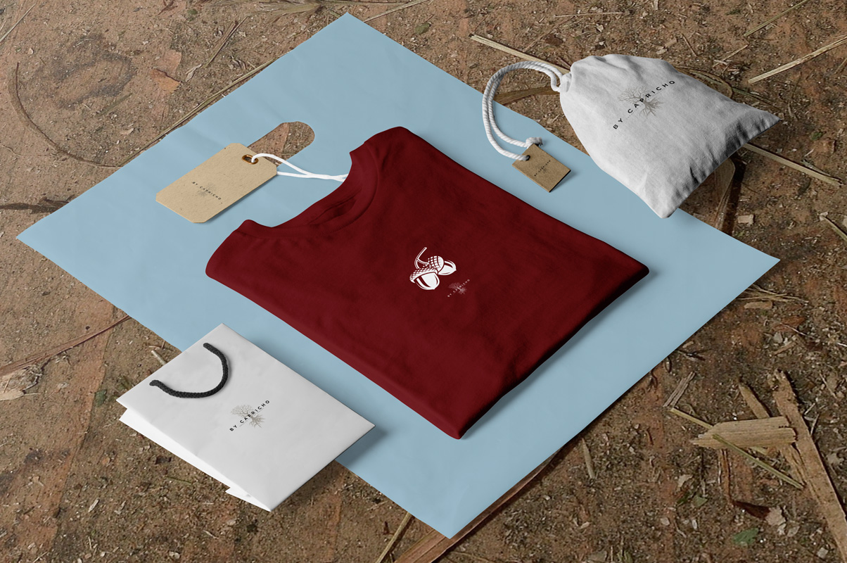 Acorns-Collection-Packaging